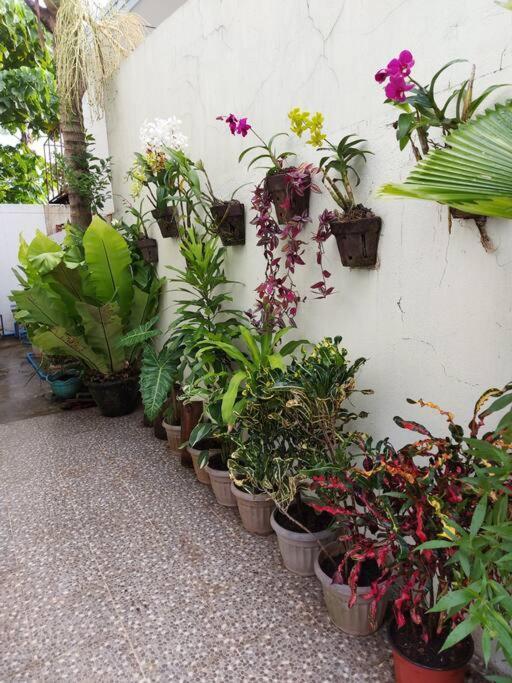 Home Away From Home. Bacolod Exterior photo