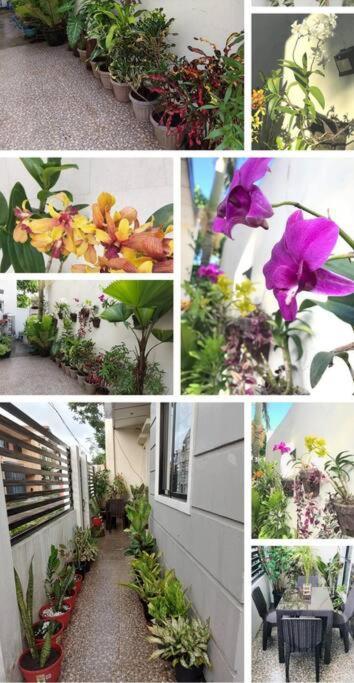 Home Away From Home. Bacolod Exterior photo